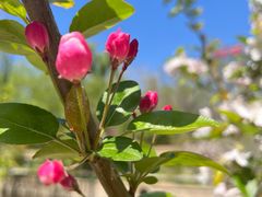 -元大都城垣遗址公园