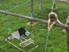 -西霞口神雕山野生动物世界