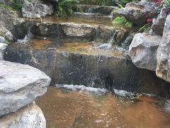 -东莞植物园