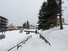 -小樽运河广场(運河プラザ)