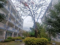 -福州第二十中学