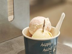 -海比甜店·意式手工冰激淋happy habit gelato
