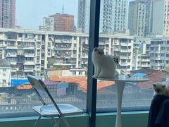 -怪兽屋·羊驼·猫咖·狗咖(俊华广场店)