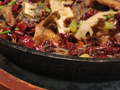 -老板恋上鱼(印象城店)