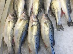 -芦潮港集贸市场