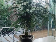 -熹素·鲜美素食Vegetarian (天河领展店)