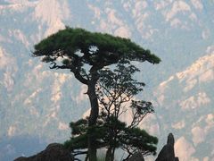 黄山西海大峡谷-黄山白云宾馆