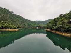 -鼎湖山风景区