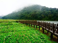 -广州市石门国家森林公园