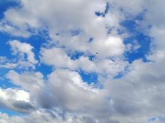 -体康盲人专业推拿