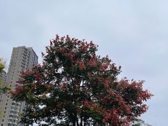 -南山湖公园