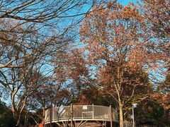 -宁波儿童公园(鄞州区)