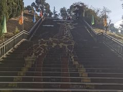 -云南野生动物园