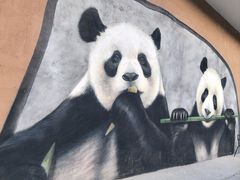 -栾川竹海野生动物园