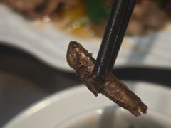 -野菌园·野生菌火锅首创第一家(关兴路总店)