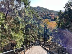 -红螺寺