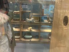 -BABIT巴比特宠物(MOMOPARK店)