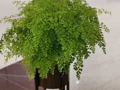 -北京盈之宝宝马&MINI4S店(望京店)