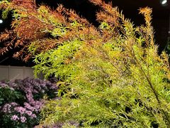 -漕溪路(地铁站)