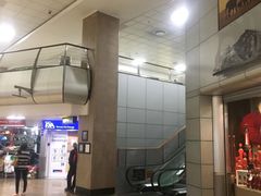 -奥利弗·雷金纳德·坦博国际机场