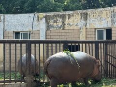 -合肥野生动物园
