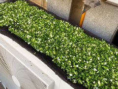 -真真鲜馄饨店(启蒙路店)