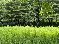 -重庆中央公园(渝北区)