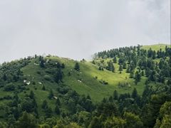 -驼梁风景区