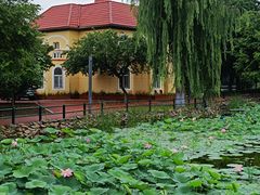 -黛秀湖公园