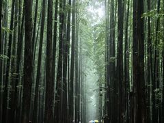 -山王坪喀斯特国家生态公园