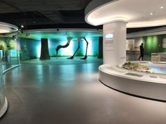 -盐城丹顶鹤湿地生态旅游区