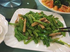 兰豆炒土鱿-金苑海鲜酒家(新港中路店)