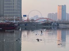 -天津之眼摩天轮