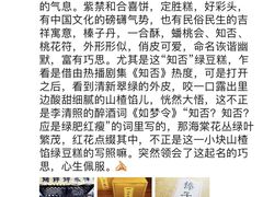 -祥禾饽饽铺·中式糕点(天津河东美福园店)