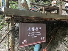 -西双版纳基诺山寨