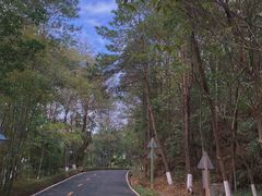 -神光山国家森林公园