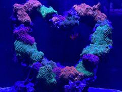 -海合安武汉极地海洋公园