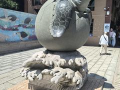 -广东惠东海龟国家级自然保护区