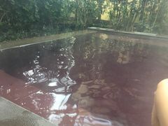 -仁爱团泊湖温泉中心