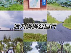 -艾溪湖湿地公园