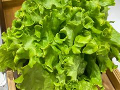 生菜-金会长自助海鲜·烤肉(人民广场店)