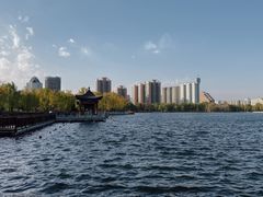 -莲花池公园