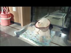 -北京派仕佳德动物医院·超导核磁·CT·神经科·骨科·内外科·急重症管理中心