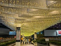 -瑞虹新天地月亮湾