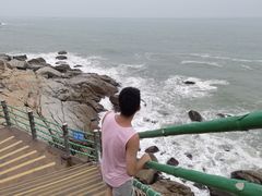 -广东惠东海龟国家级自然保护区