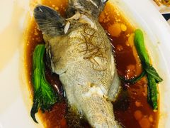 -顺峰(农展馆店)