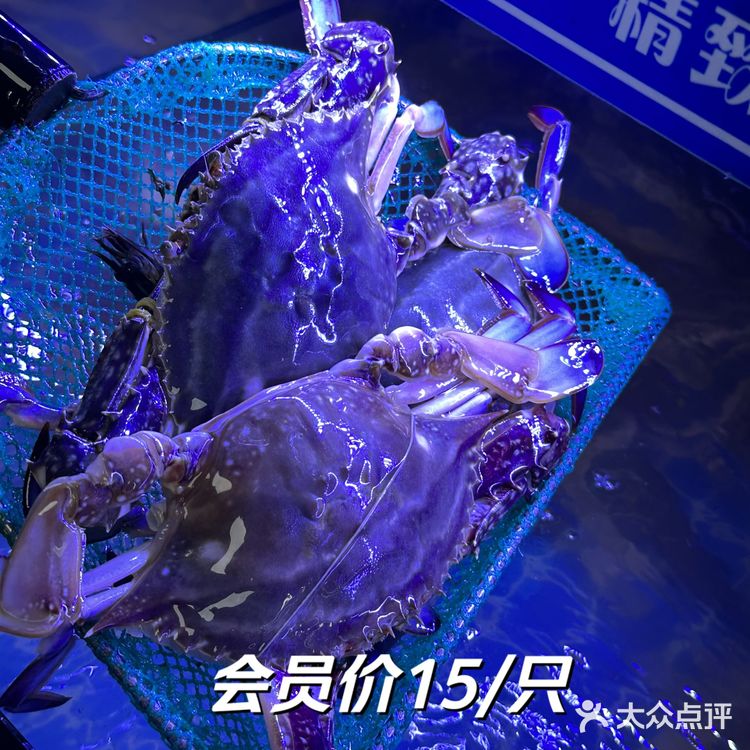 在梁知令火锅体验吃梭子蟹自由的快乐