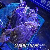 在梁知令火锅体验吃梭子蟹自由的快乐