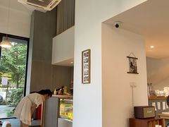 -猫里有甜