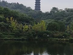 -重庆园博园